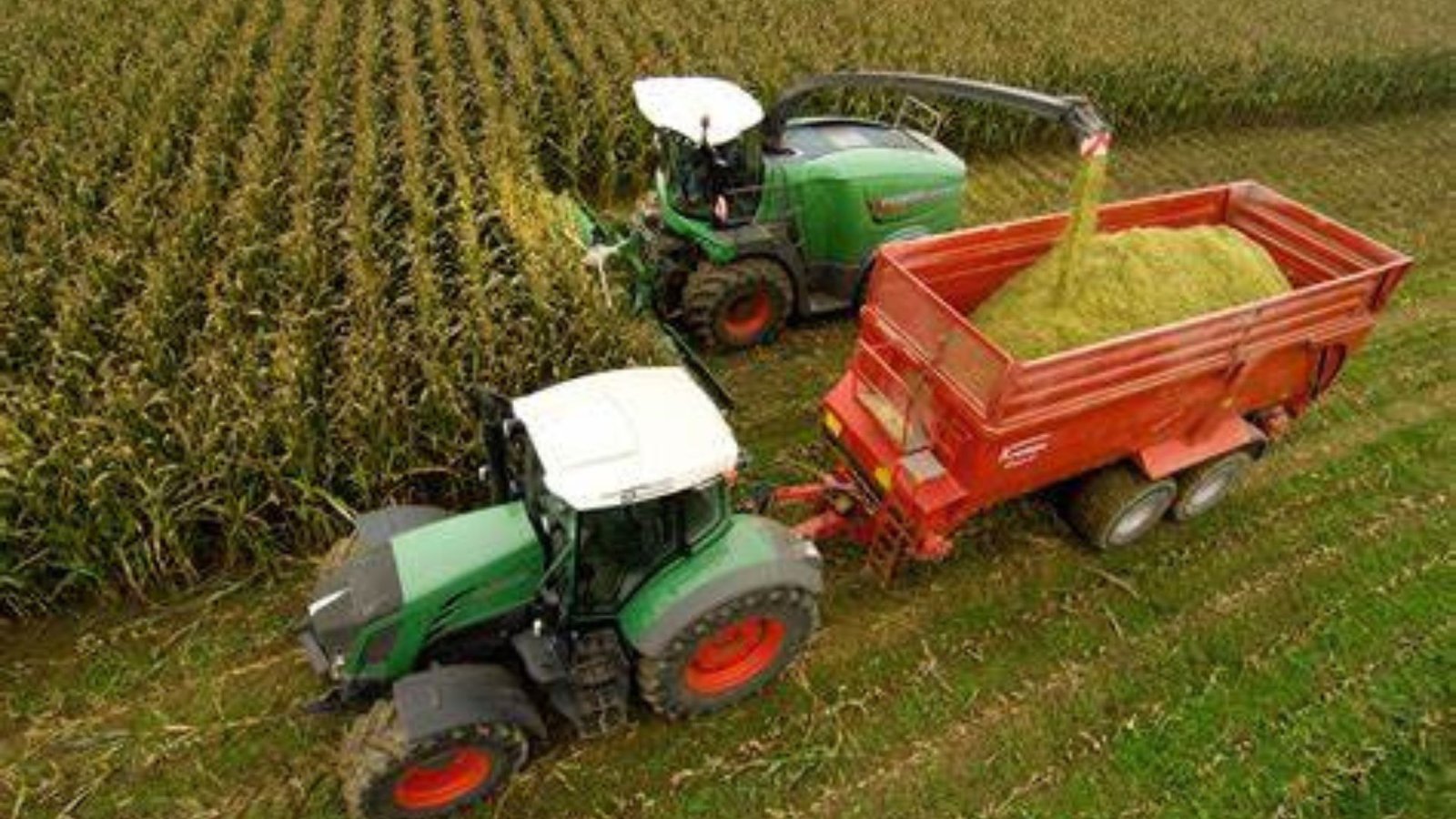 a picture of a combined harvester